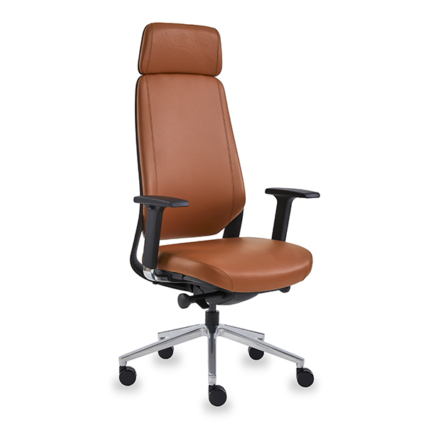Schon S Ergonomic Chair Office, Leather Study Chair Singapore